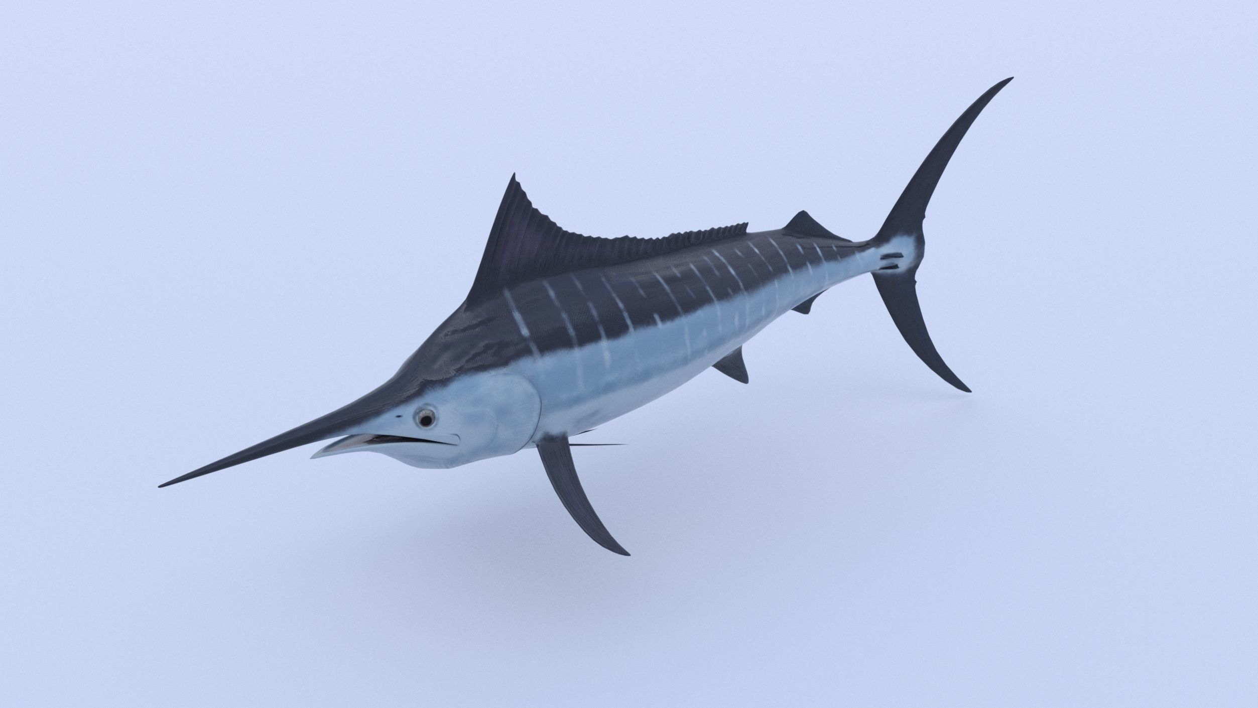 Marlin