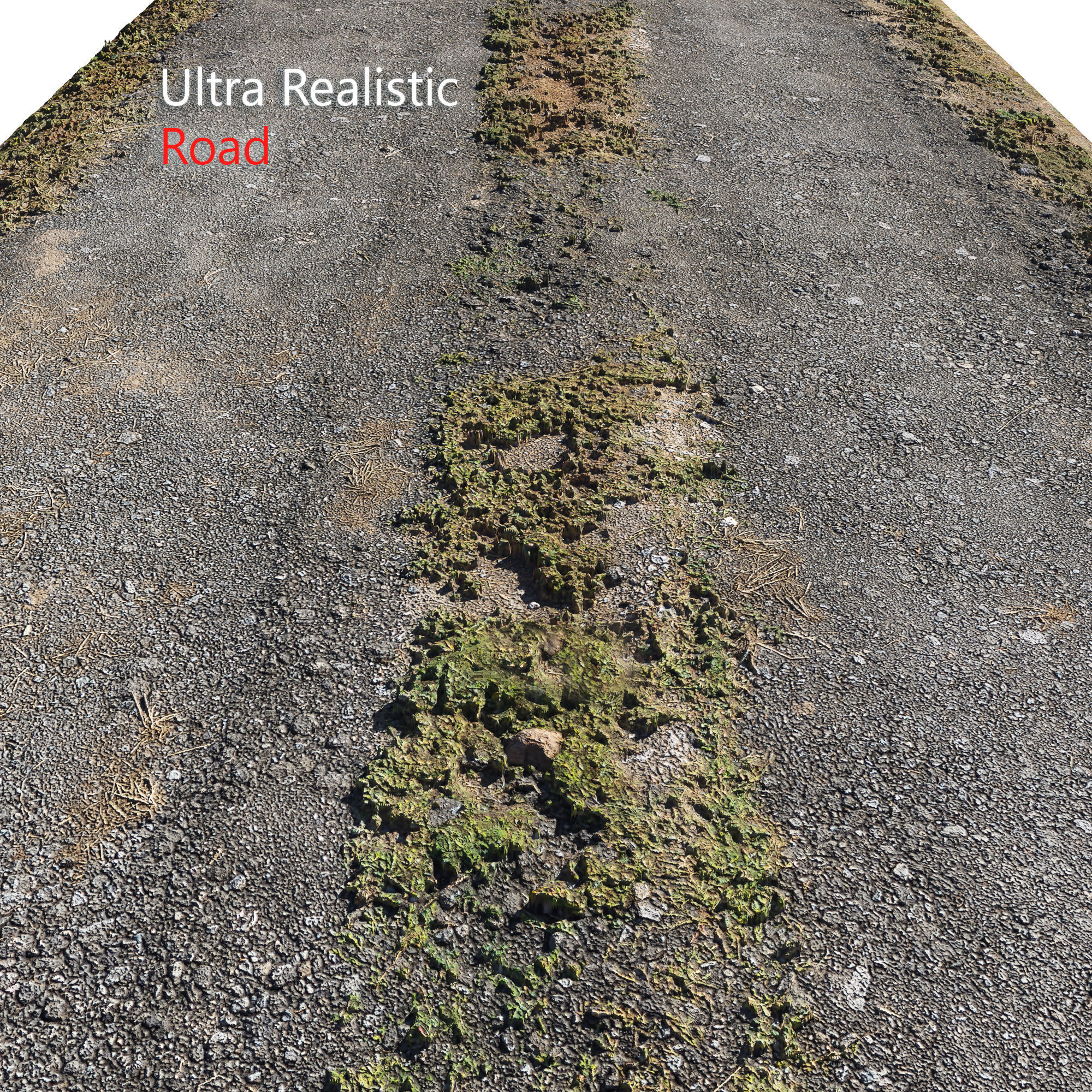 Ultra realistic Road Scan 3D model CGTrader