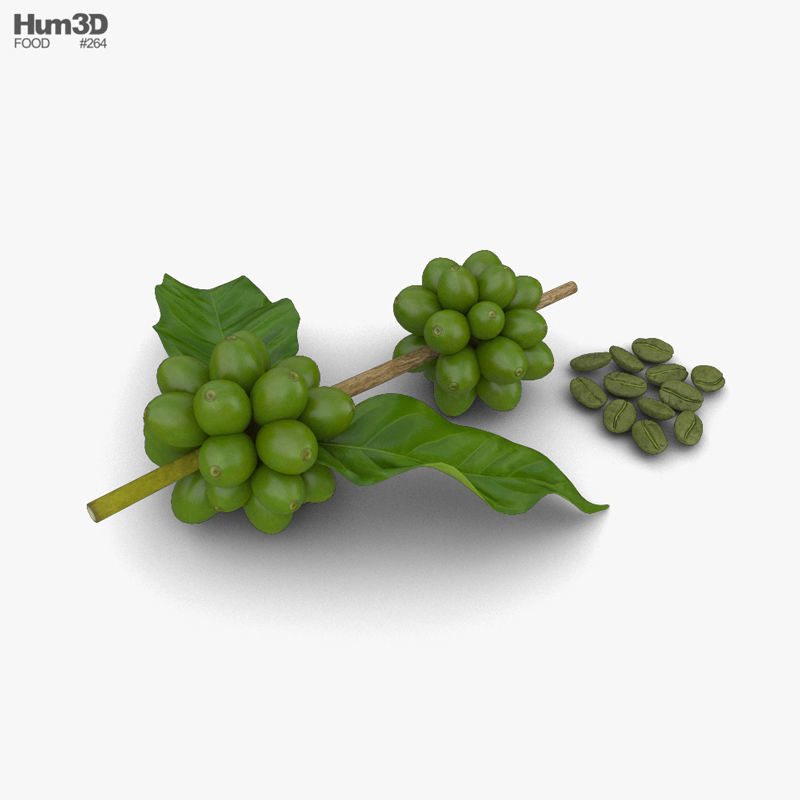 Green Coffee Beans