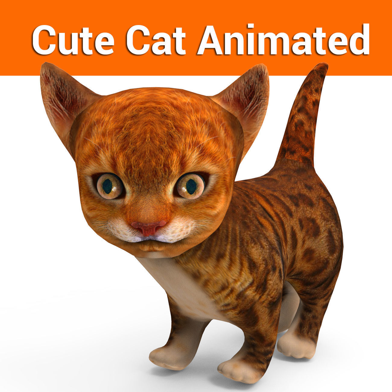 3D cute kitten cat animated model