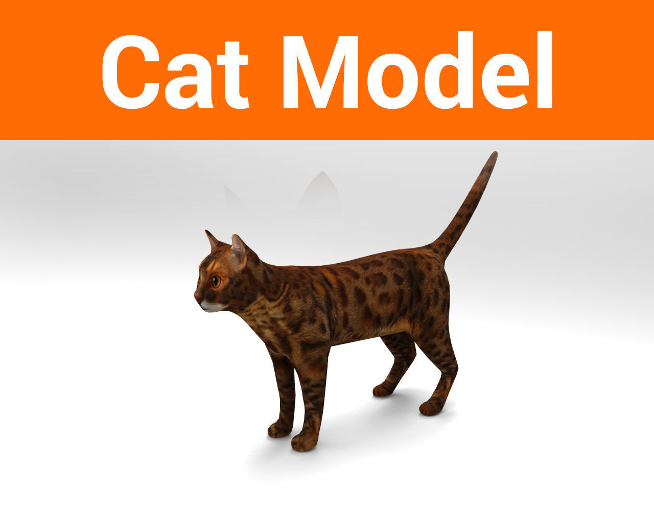Cat game ready low poly model
