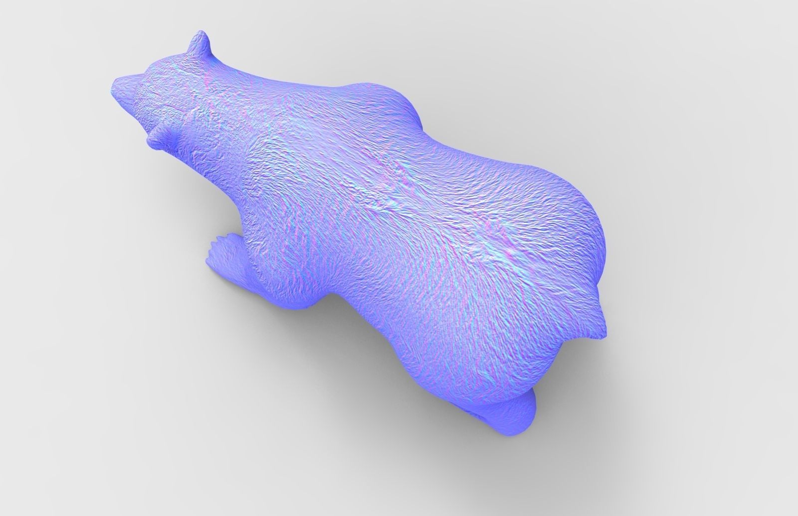 3D model brownbear animal 3d model VR / AR / lowpoly rigged CGTrader