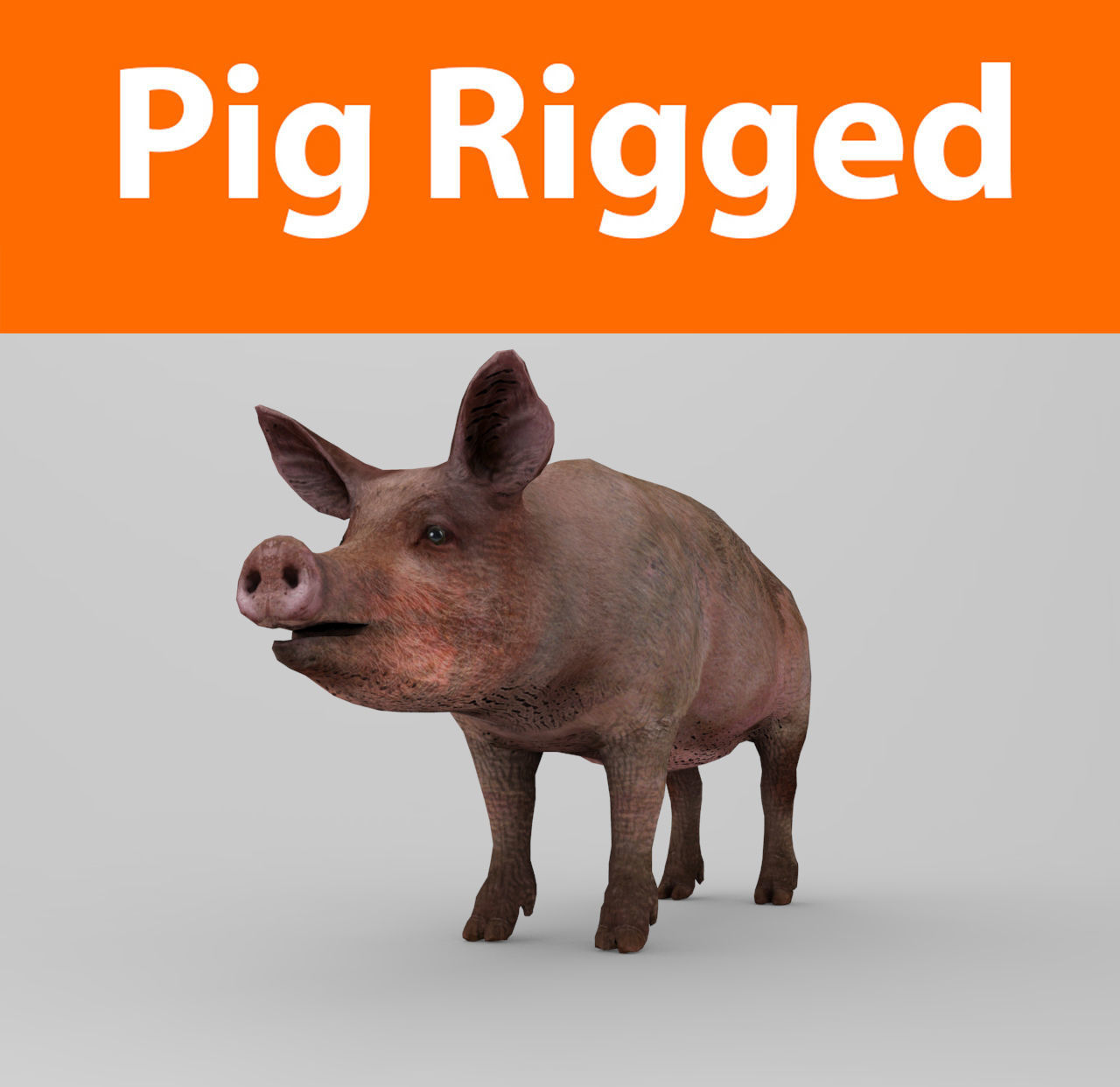 Pig Rigged Model
