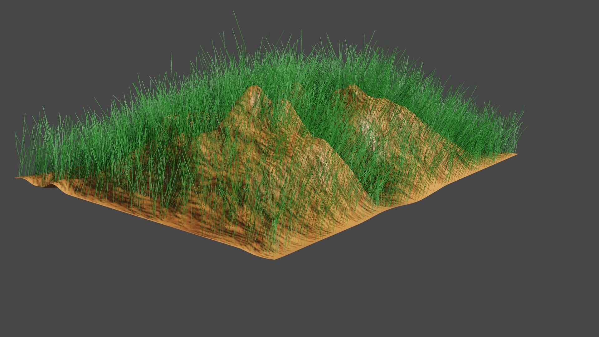 GRASS LANDSCAPE WITH WIND FLOW ANIMATION 3D model | CGTrader