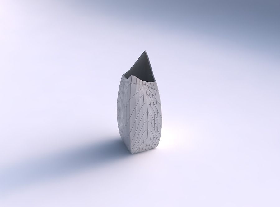Vase double arc rectangle with wavy grid plates 3D print model
