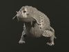 Scutosaurus 3D model 3D printable | CGTrader