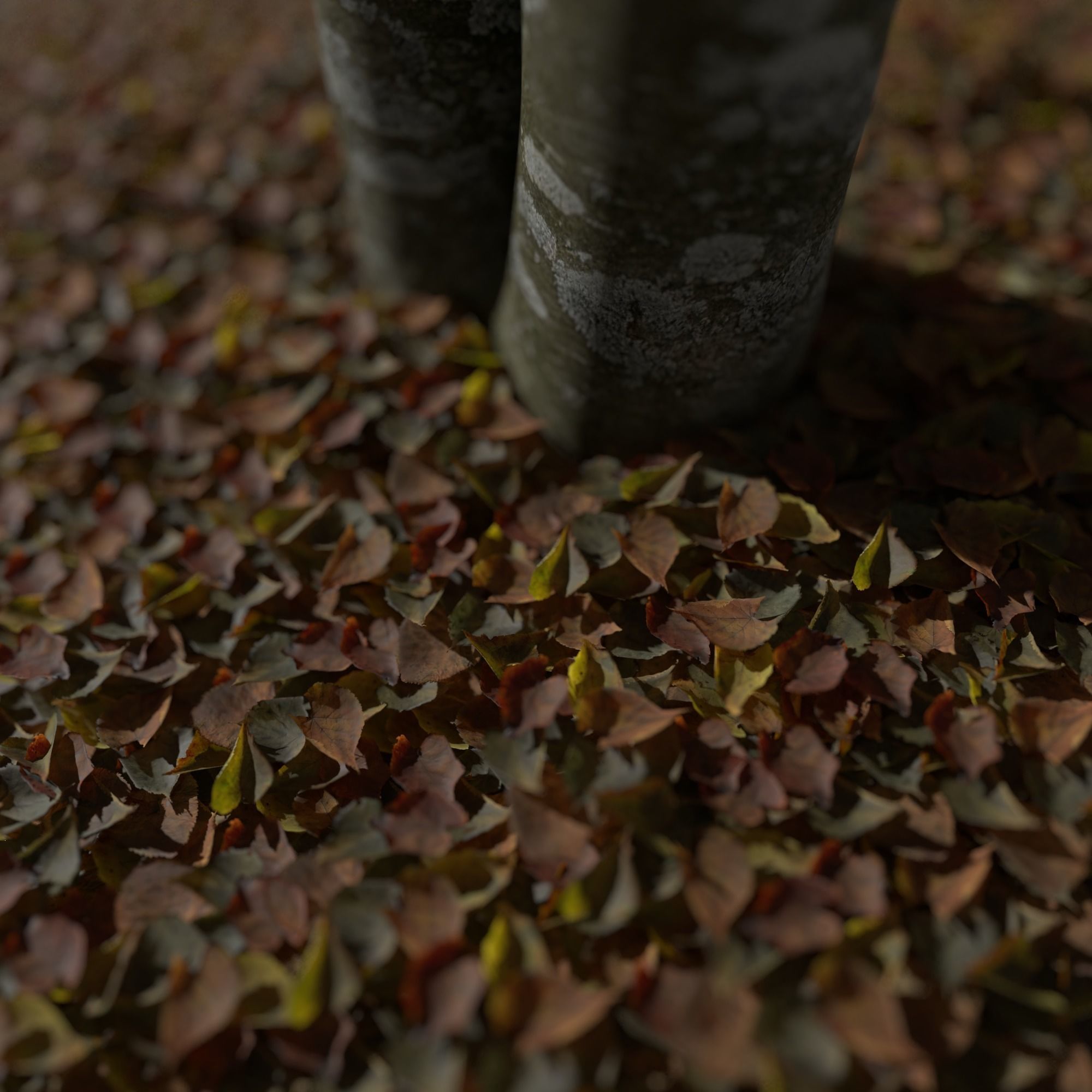 Dry Linden Leaves Pack