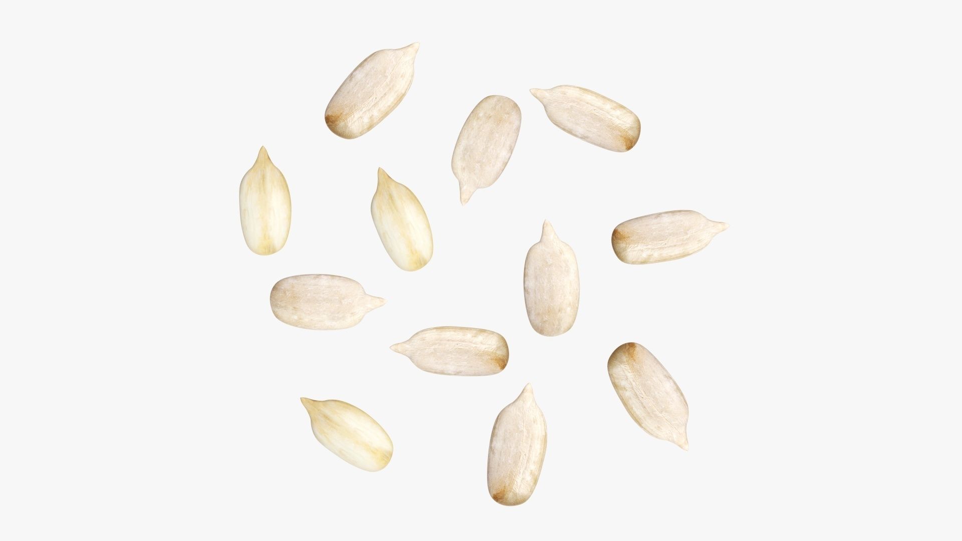 Seeds sunflower 02