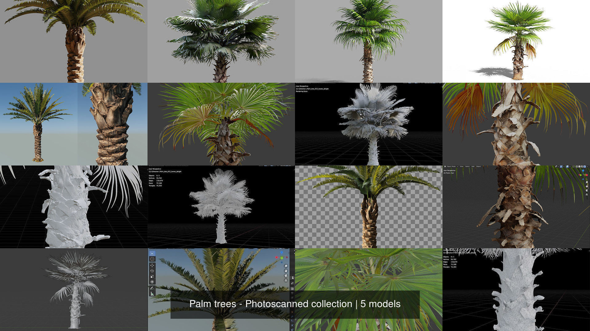 Palm trees - Photoscanned collection
