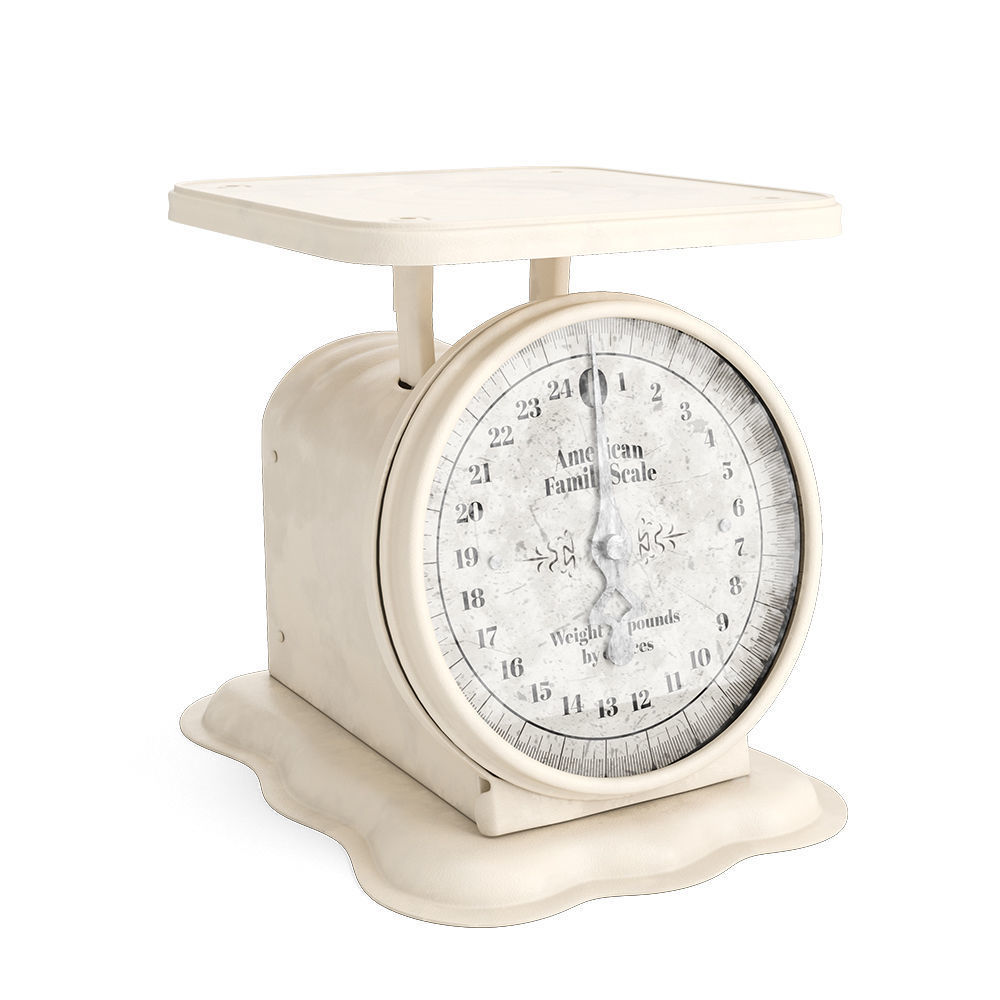 Vintage American Family Scale