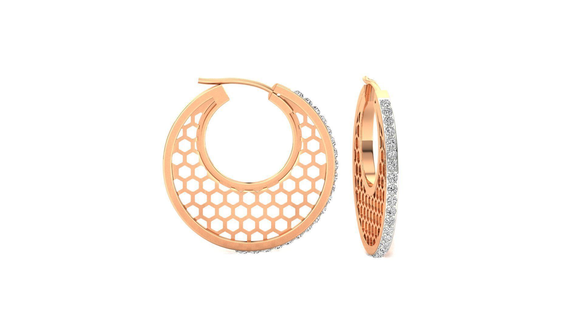 Earrings-0958
