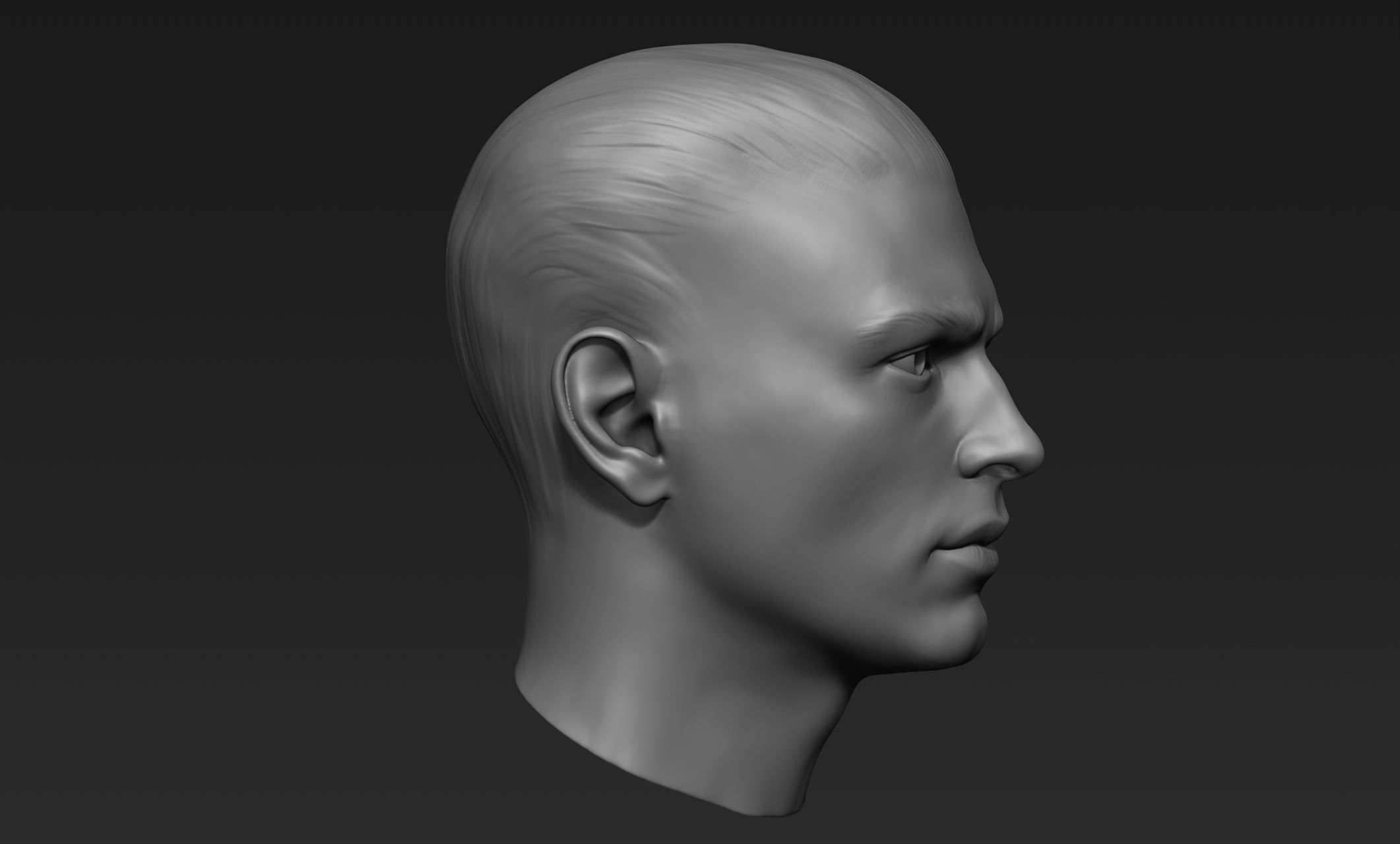 Male Head Sculpt 5 3D model | CGTrader
