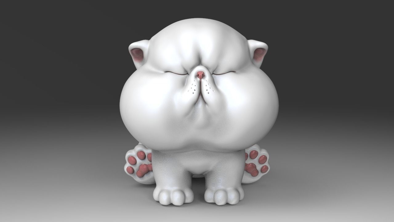 Sleepy The Chubbiest Cheeks Cat