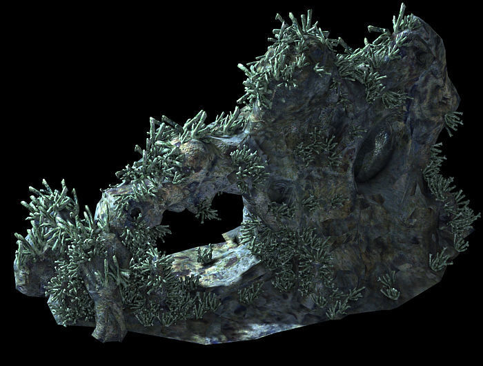 Topography-sea floor-coral-mountain 3D model