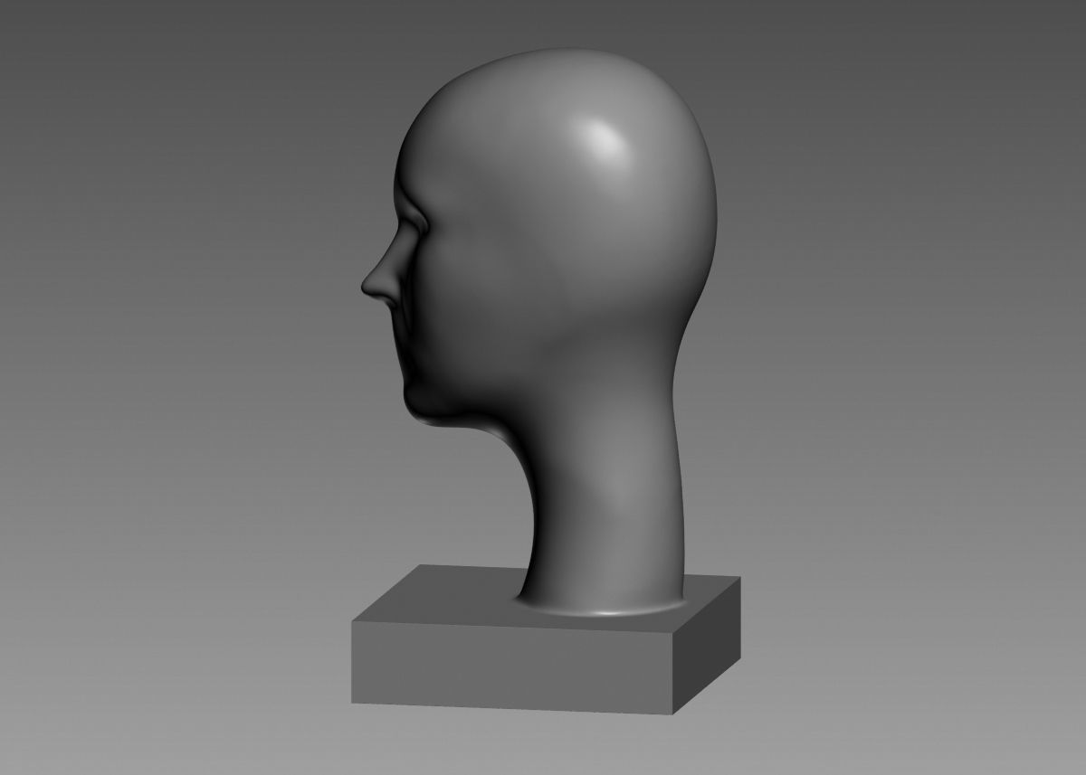 Modern concept head sculpture 3d print model 3D model 3D printable