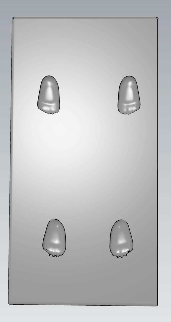 MakeIT Bear Foot Print All 4 foot 3D Model 3D model