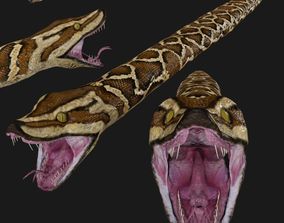 Free Python 3D Models | CGTrader