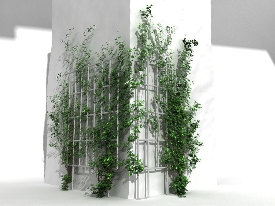 ivy corner