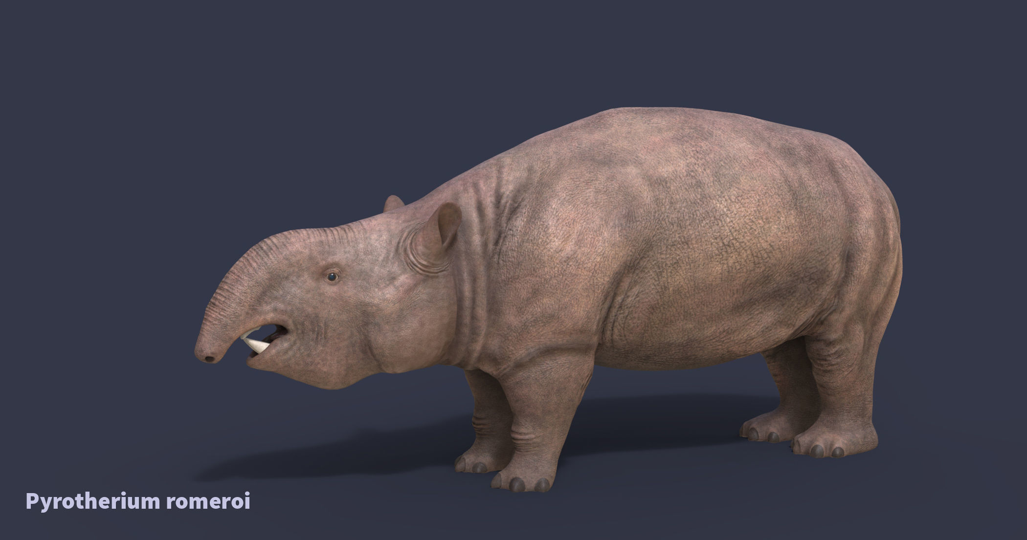 Extinct animals pack version 15 3D model CGTrader