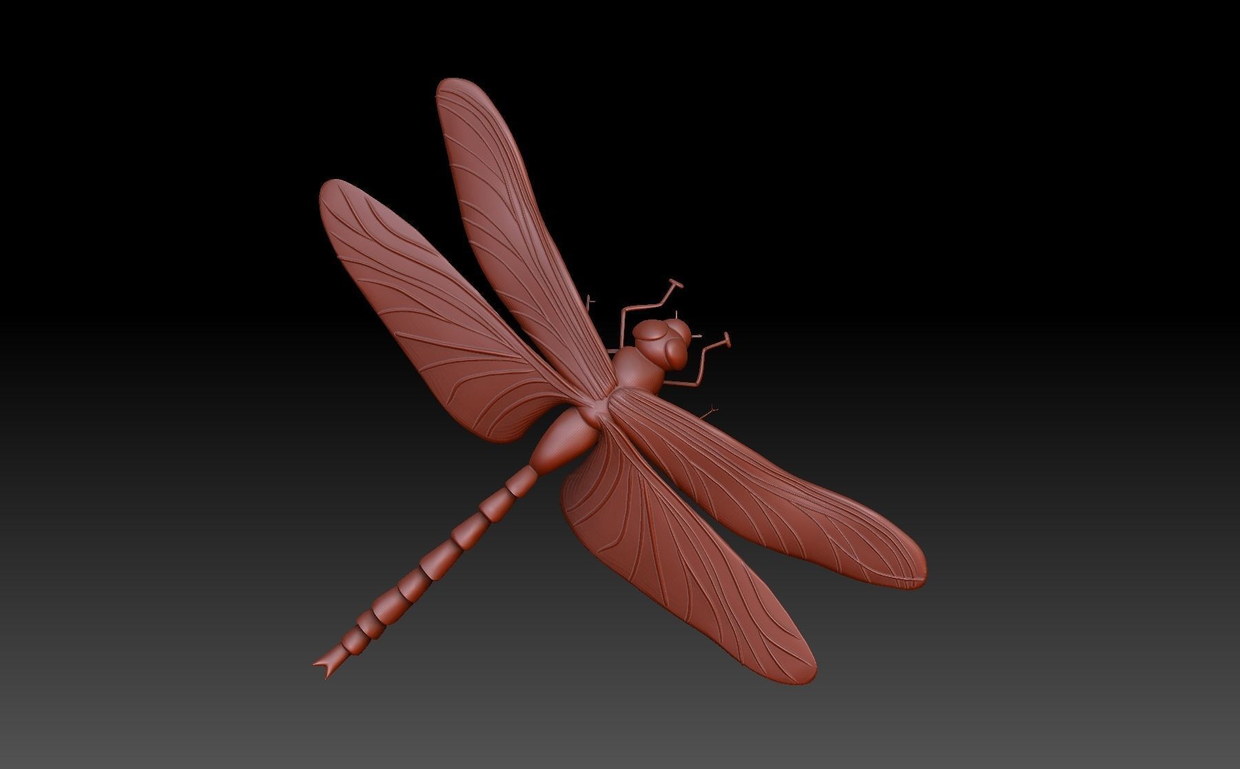 dragonfly