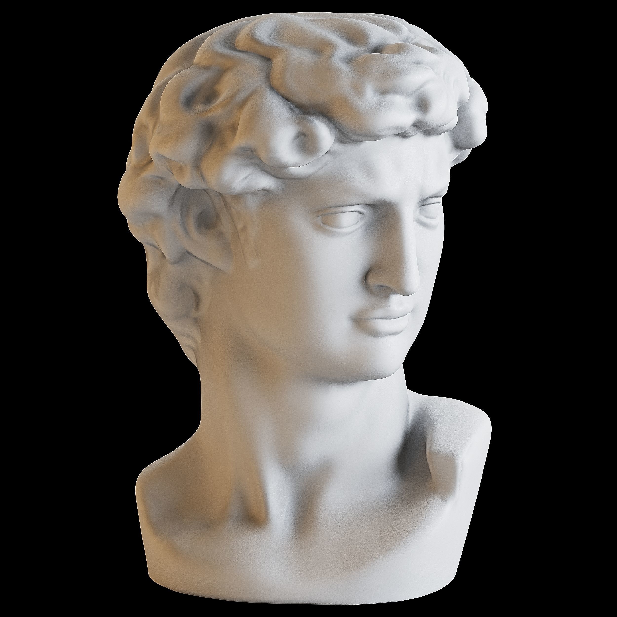 Bust of David 3D model