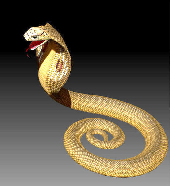 here are ZTL snake and skeleton