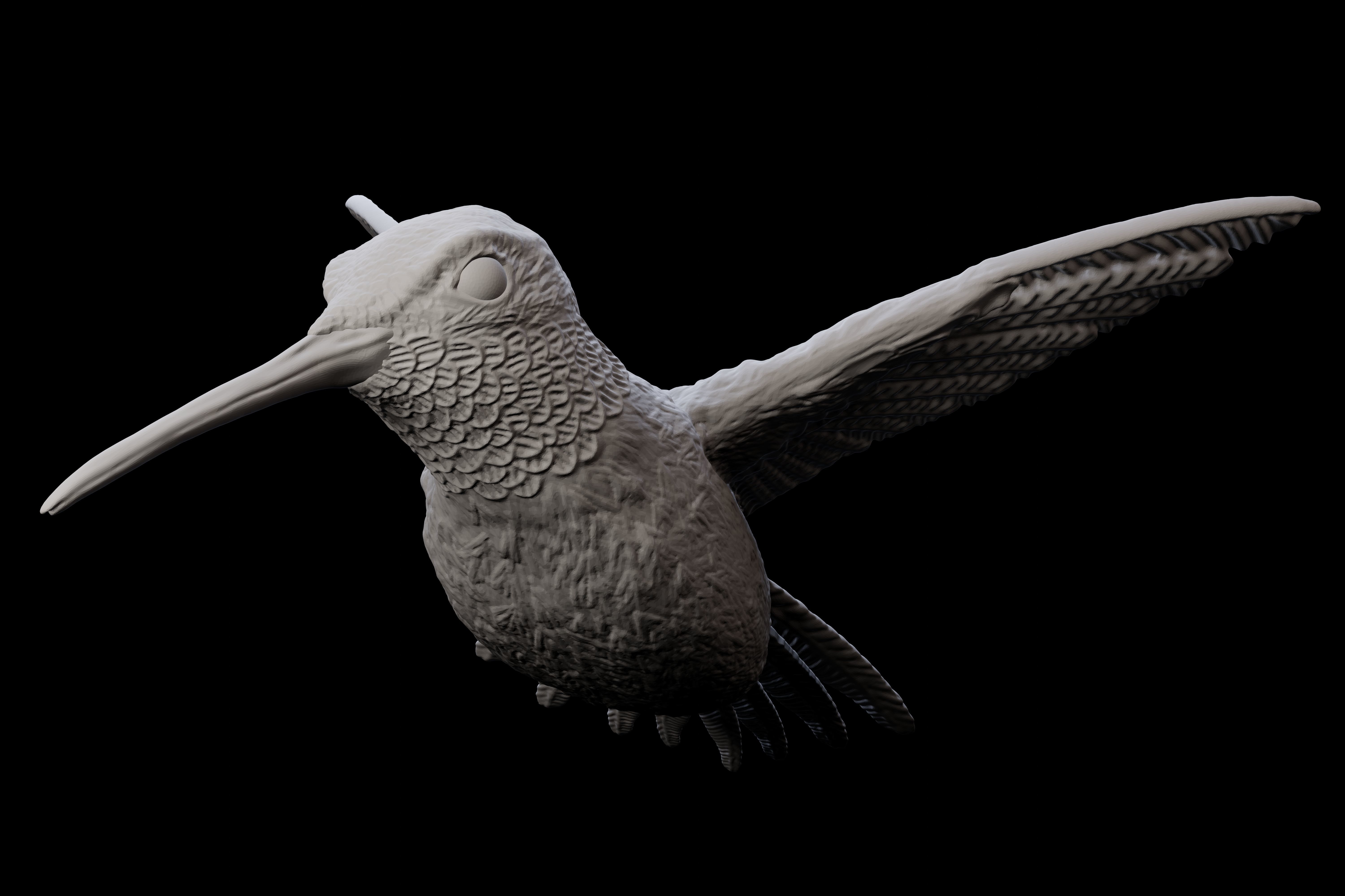 Hummingbird for 3d printing 3D model 3D printable | CGTrader