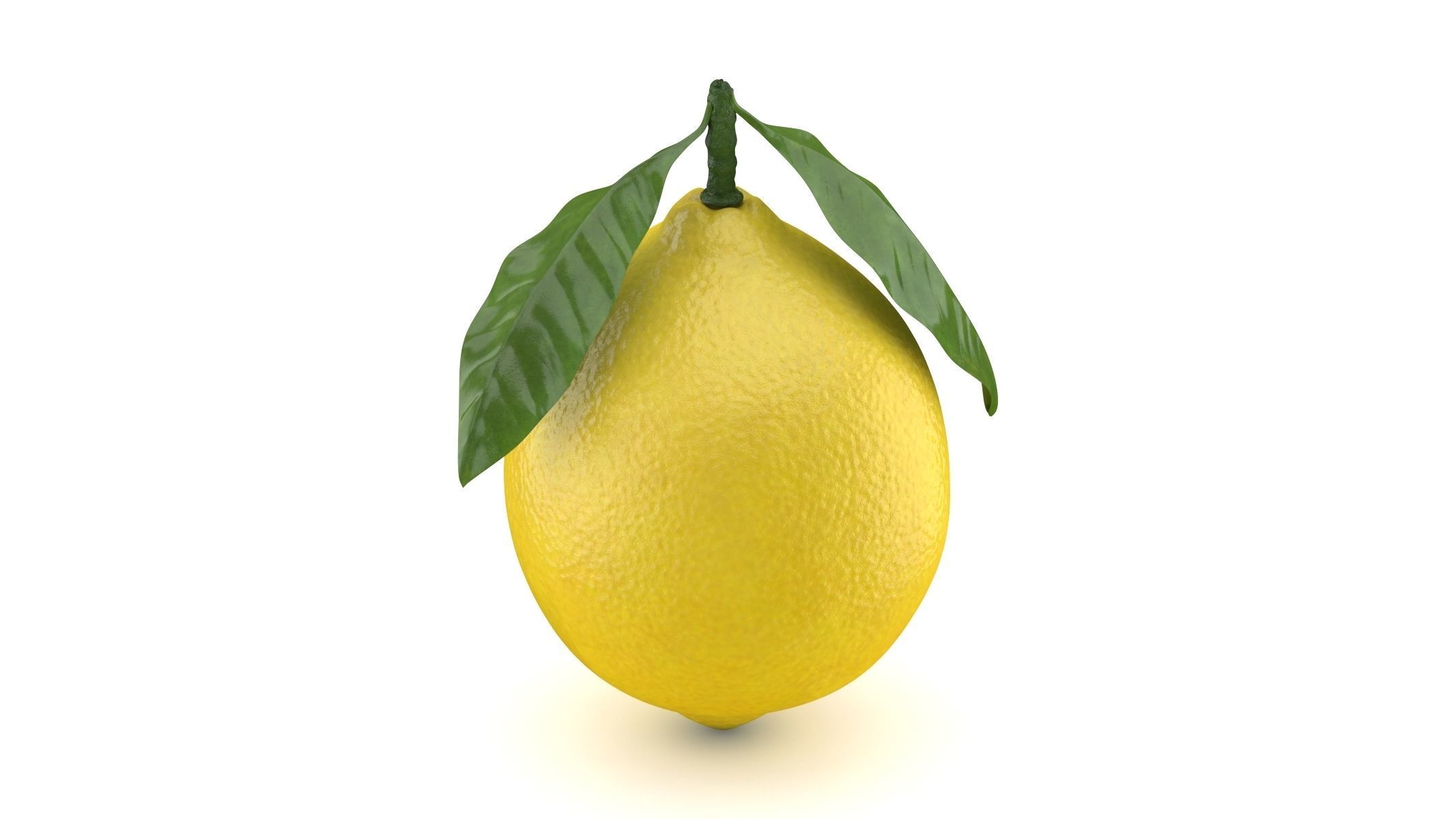 Realistic Lemon with Leaf