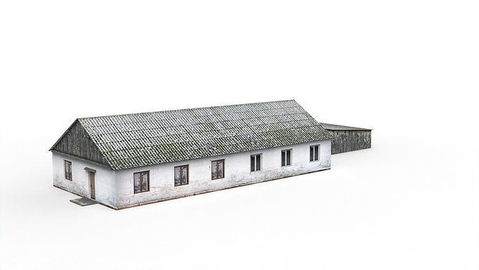 Village house Low-poly 3D model