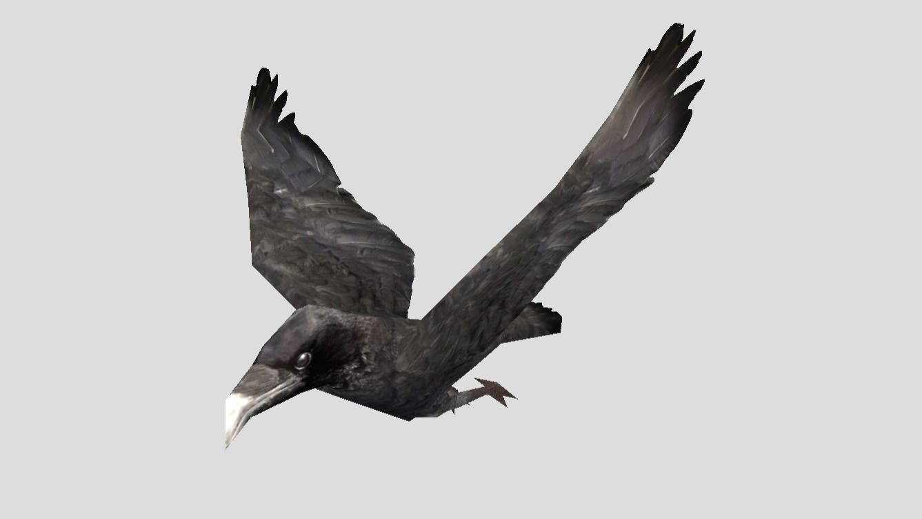 Crow 3d model. Low crow. Карточки домана ворона. Ворон stl. Low crow.