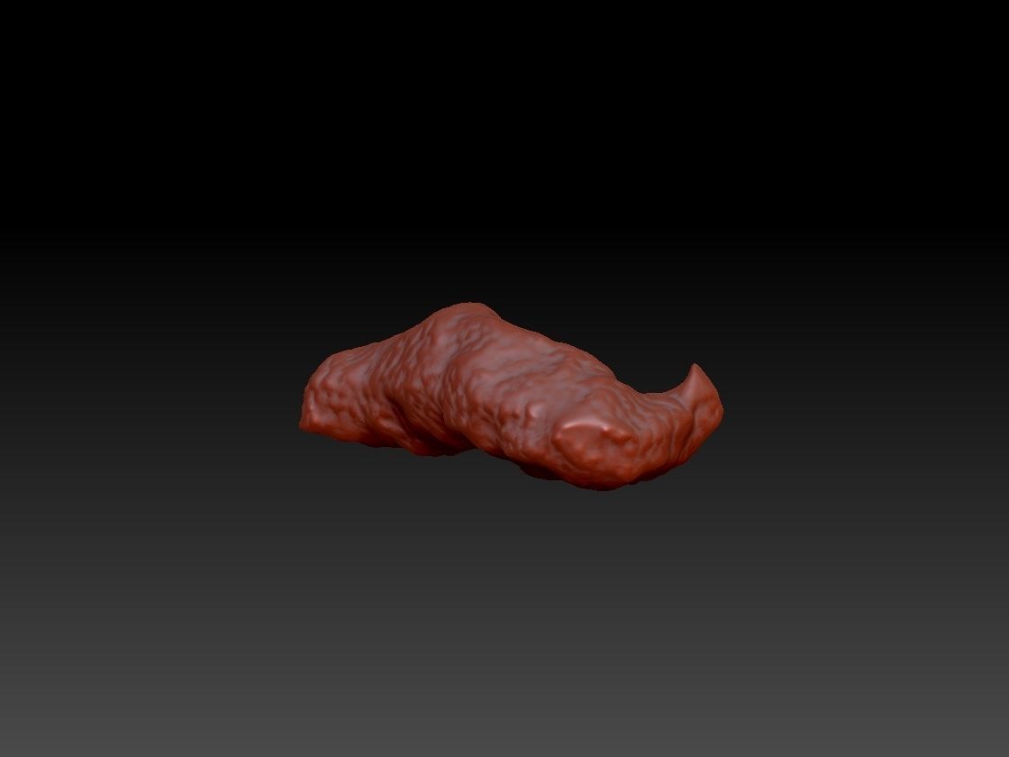 A real piece of poop 3D model 3D printable CGTrader
