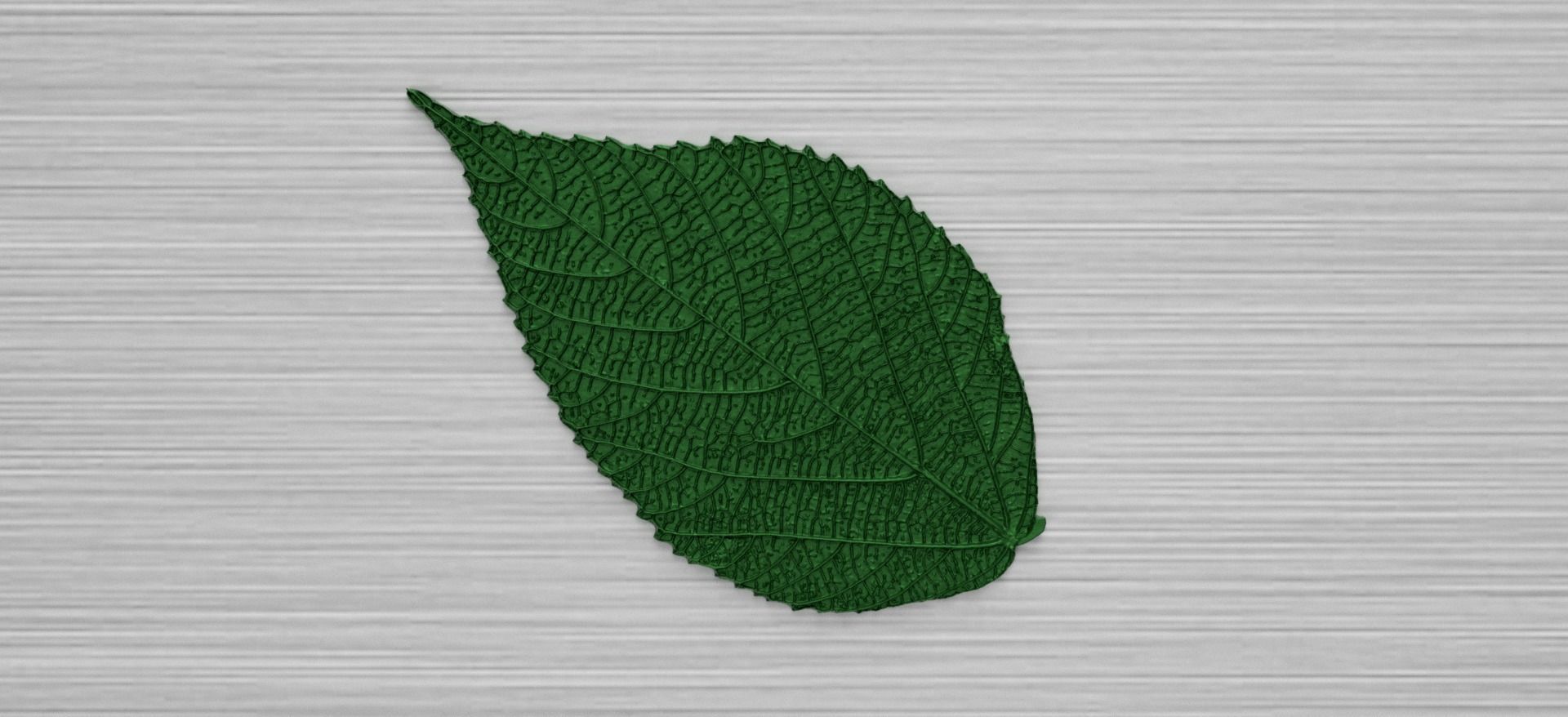 Green Leaf 3