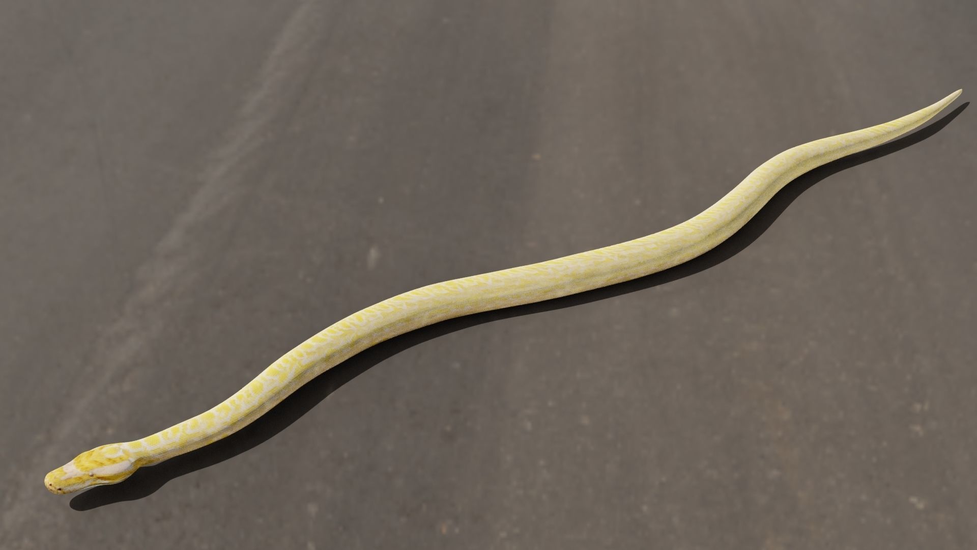 3D model Python worm VR / AR / low-poly rigged | CGTrader