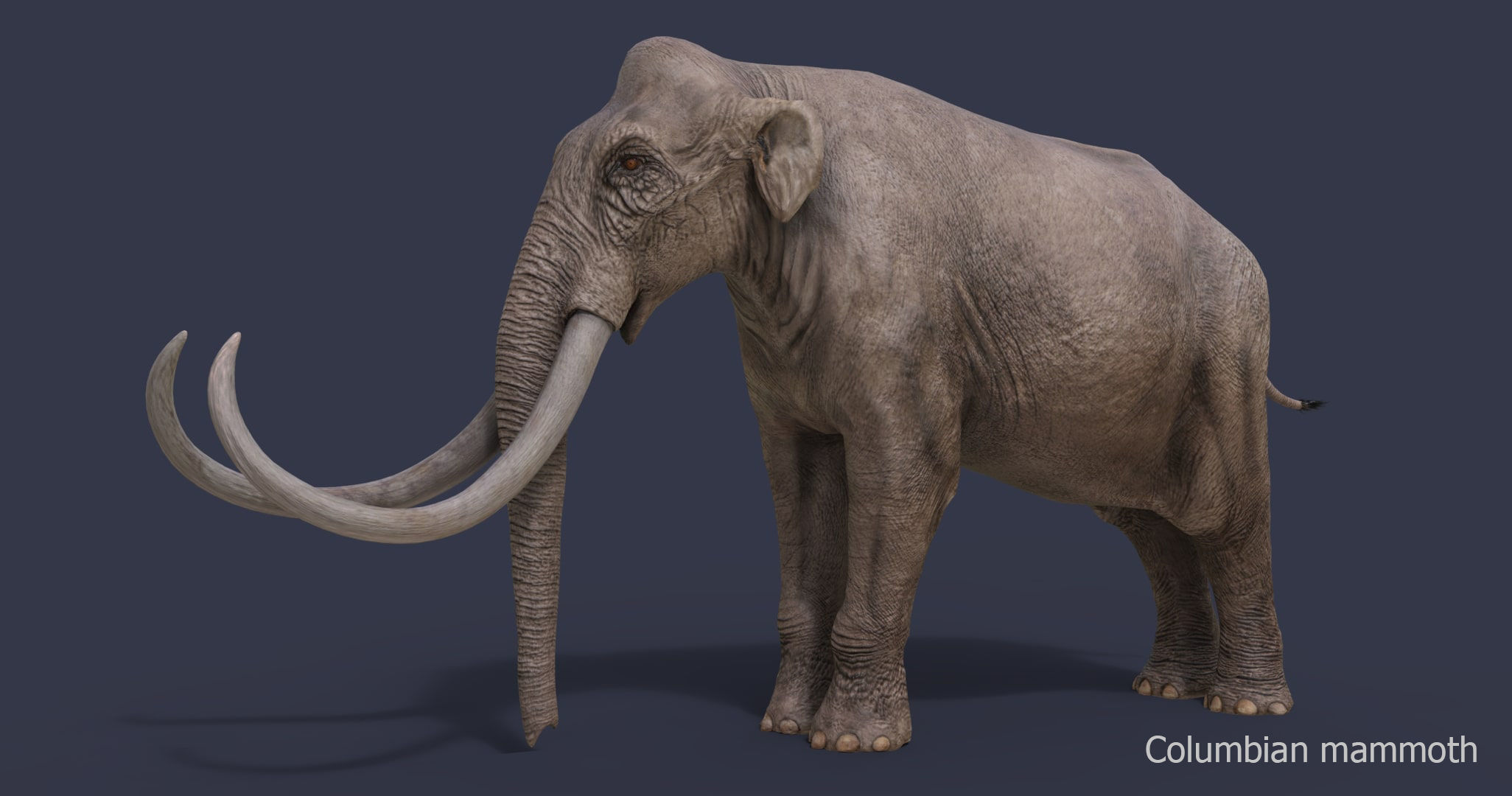 3D model Extinct animals pack version 16 VR / AR / low-poly | CGTrader