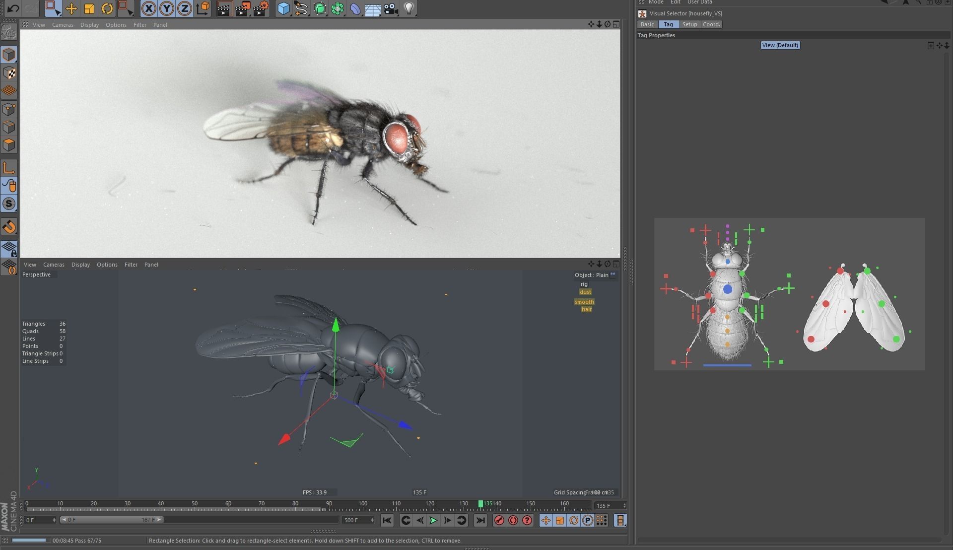 c4d cost