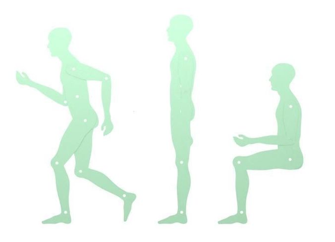 human templates