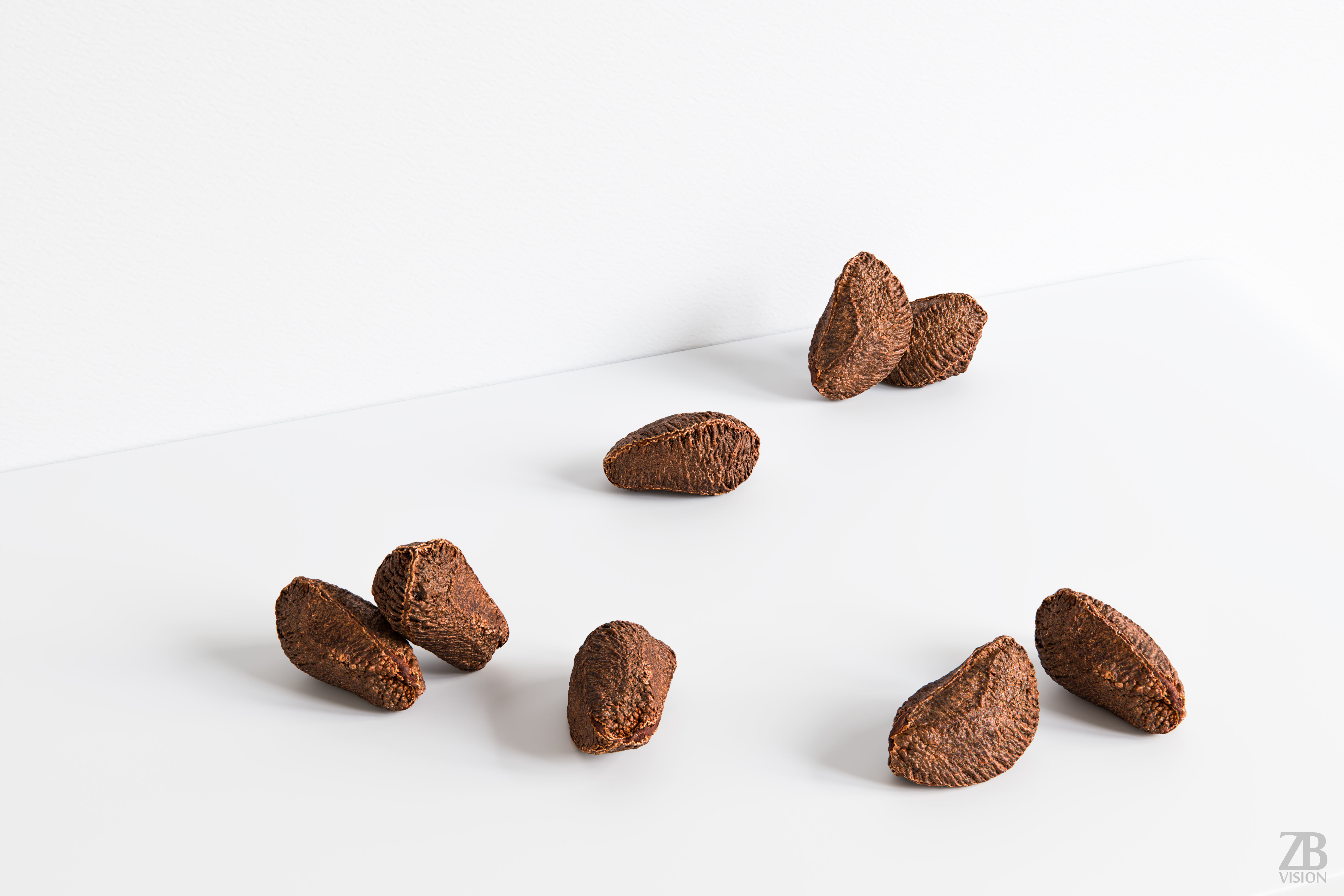 Brazil Nut 002