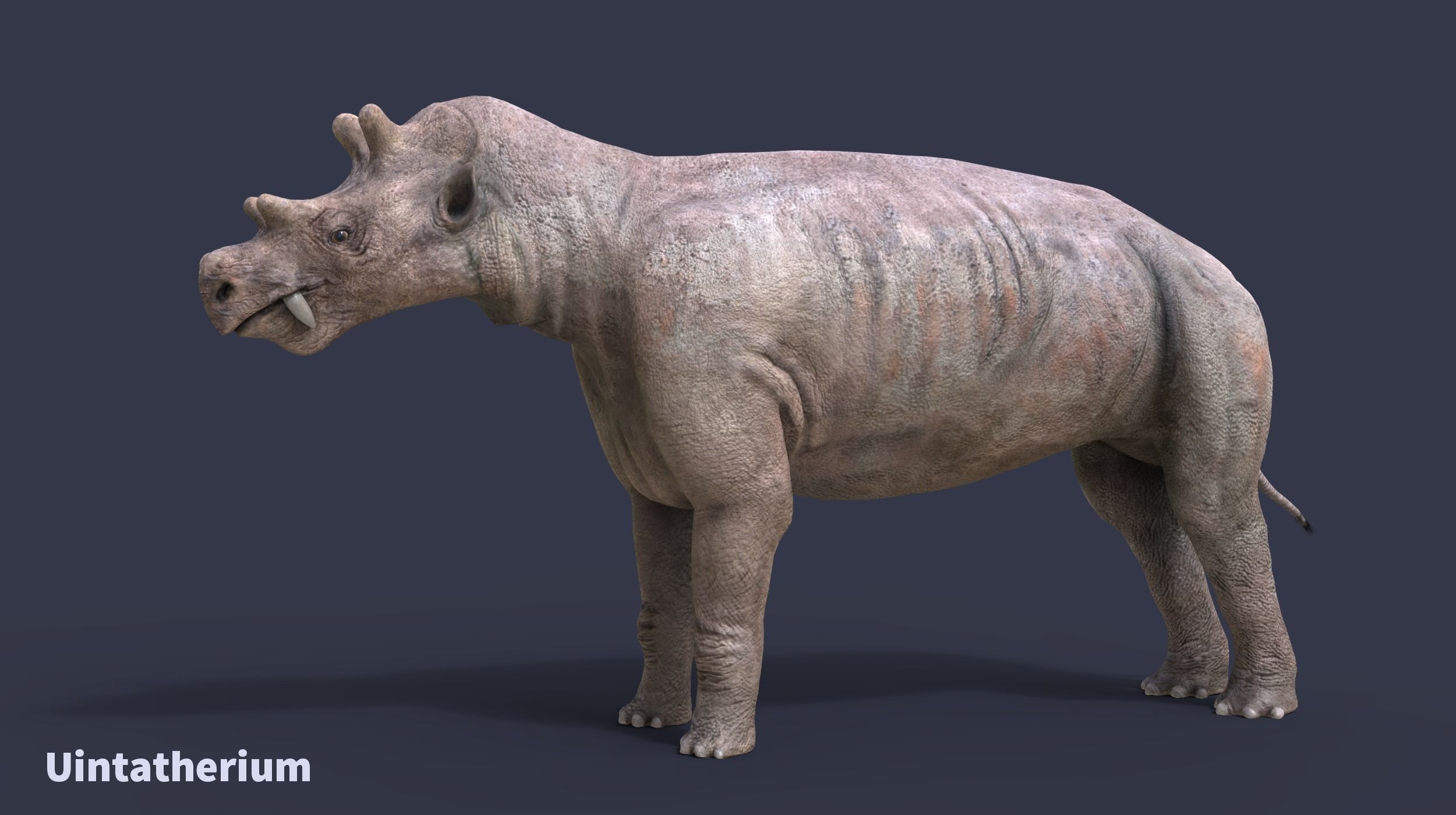 Extinct animals pack version 17 3D model CGTrader
