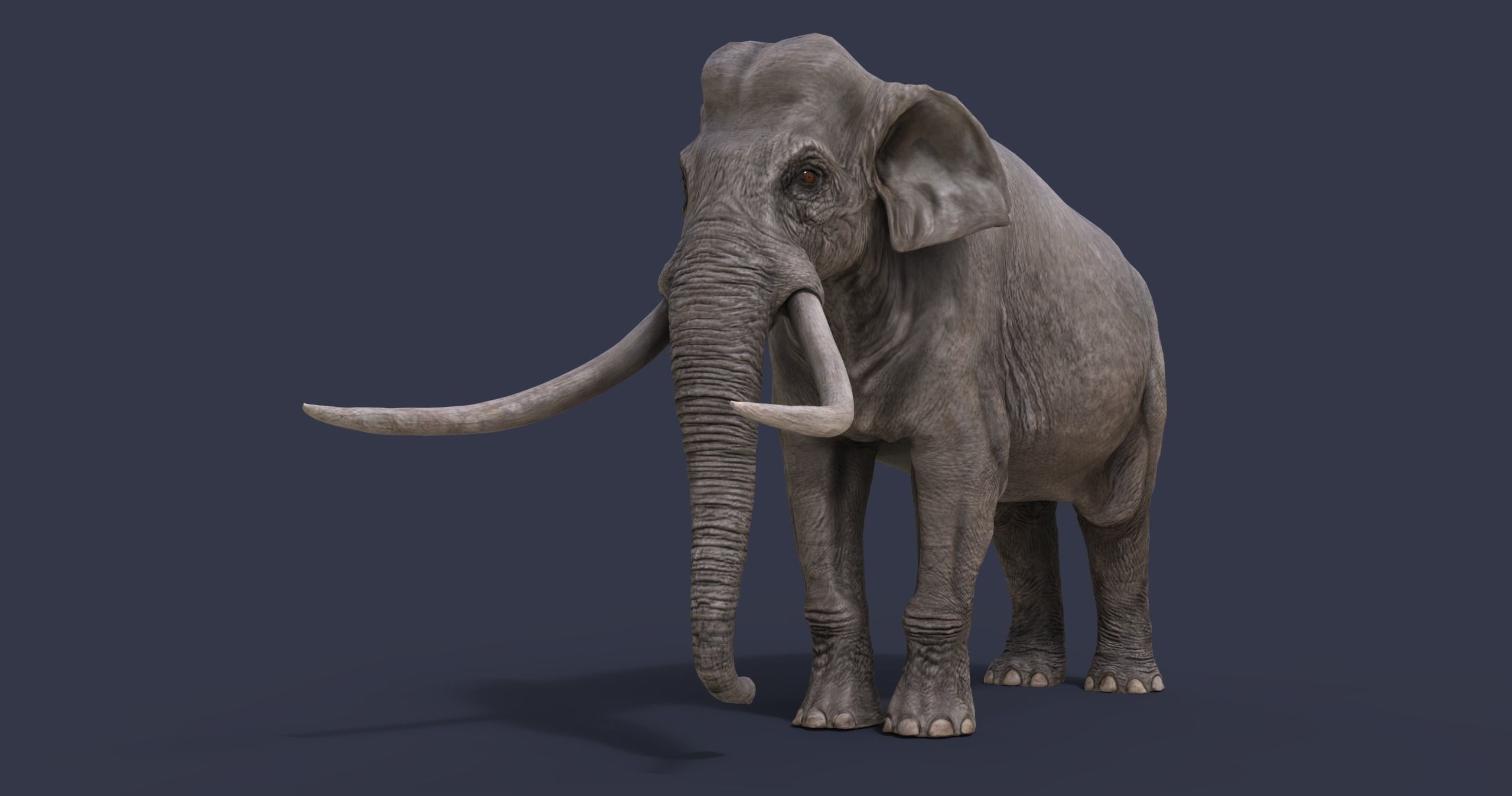 Extinct animals pack version 17 3D model | CGTrader