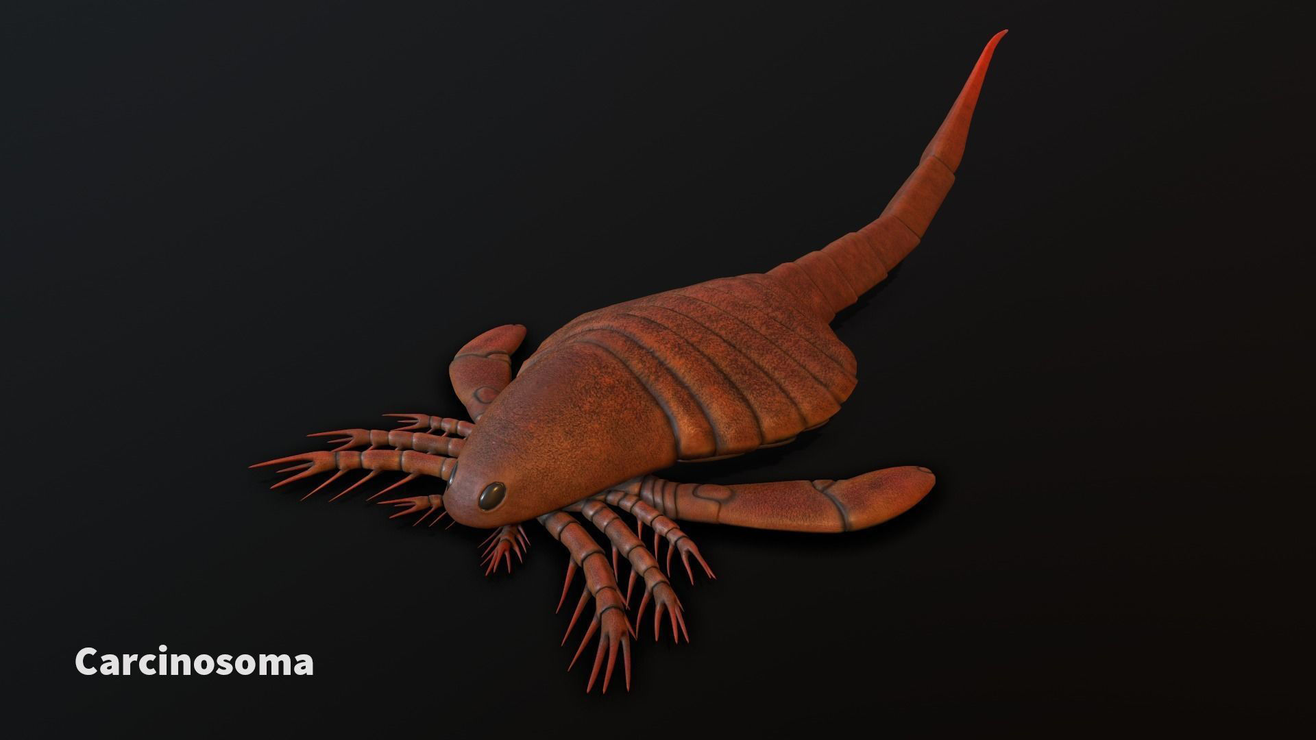 Extinct animals pack version 17 3D model CGTrader