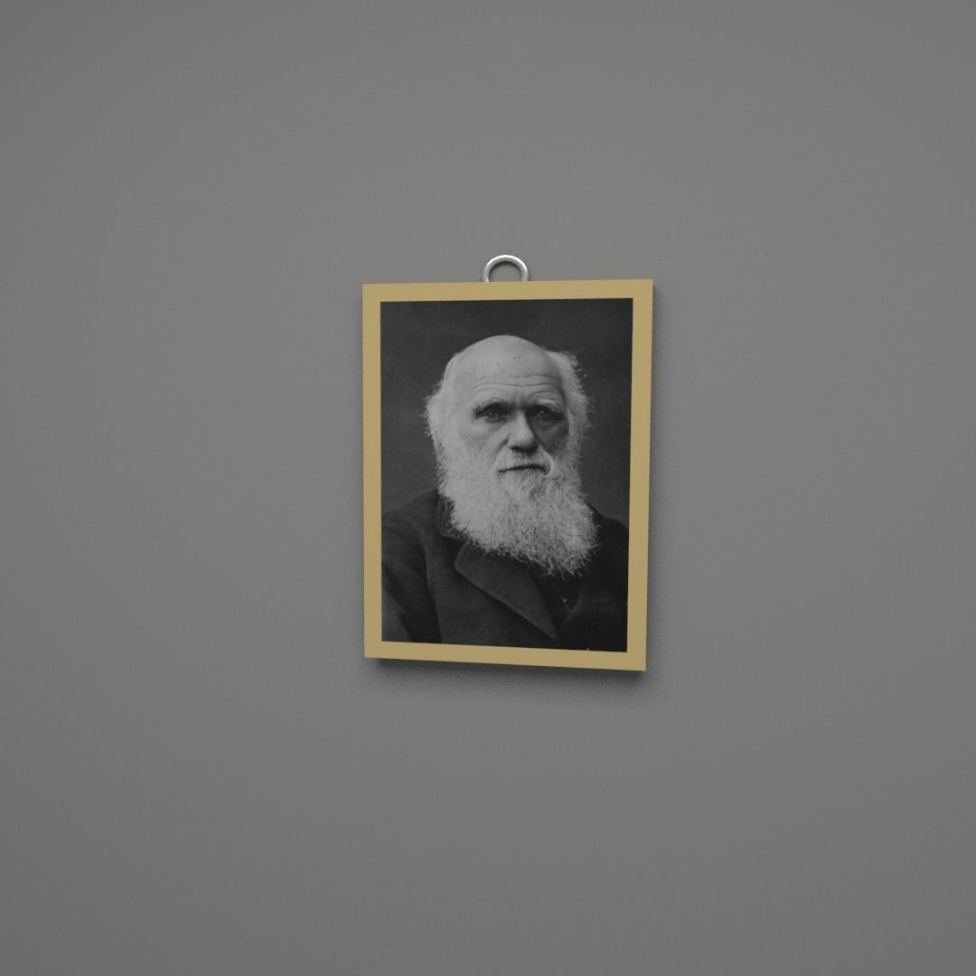 3D asset Charles Darwin wall frame CGTrader