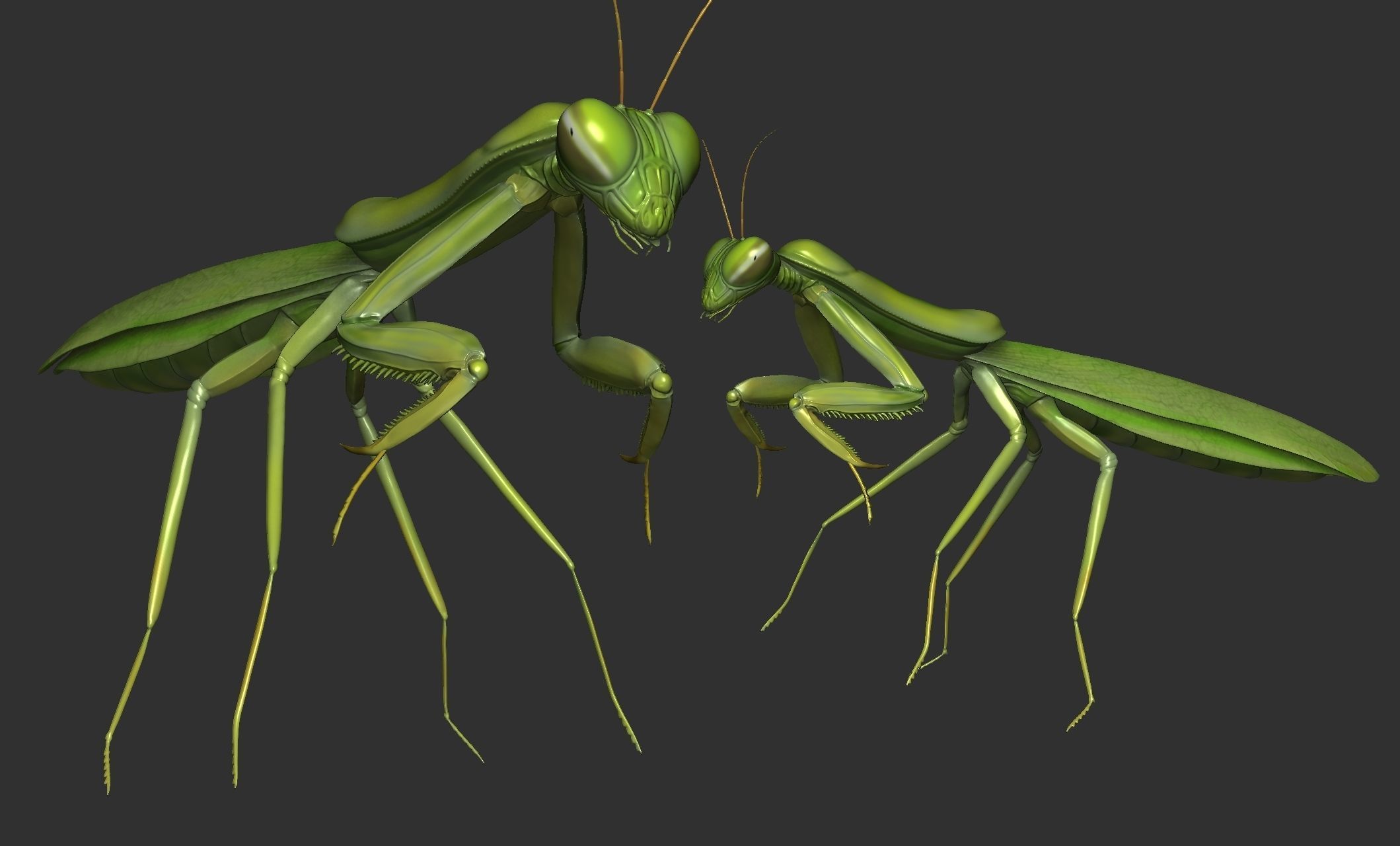 Praying Mantis 3D model 3D printable | CGTrader