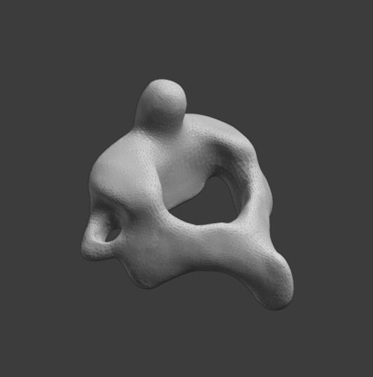 Axis C2 vertebra