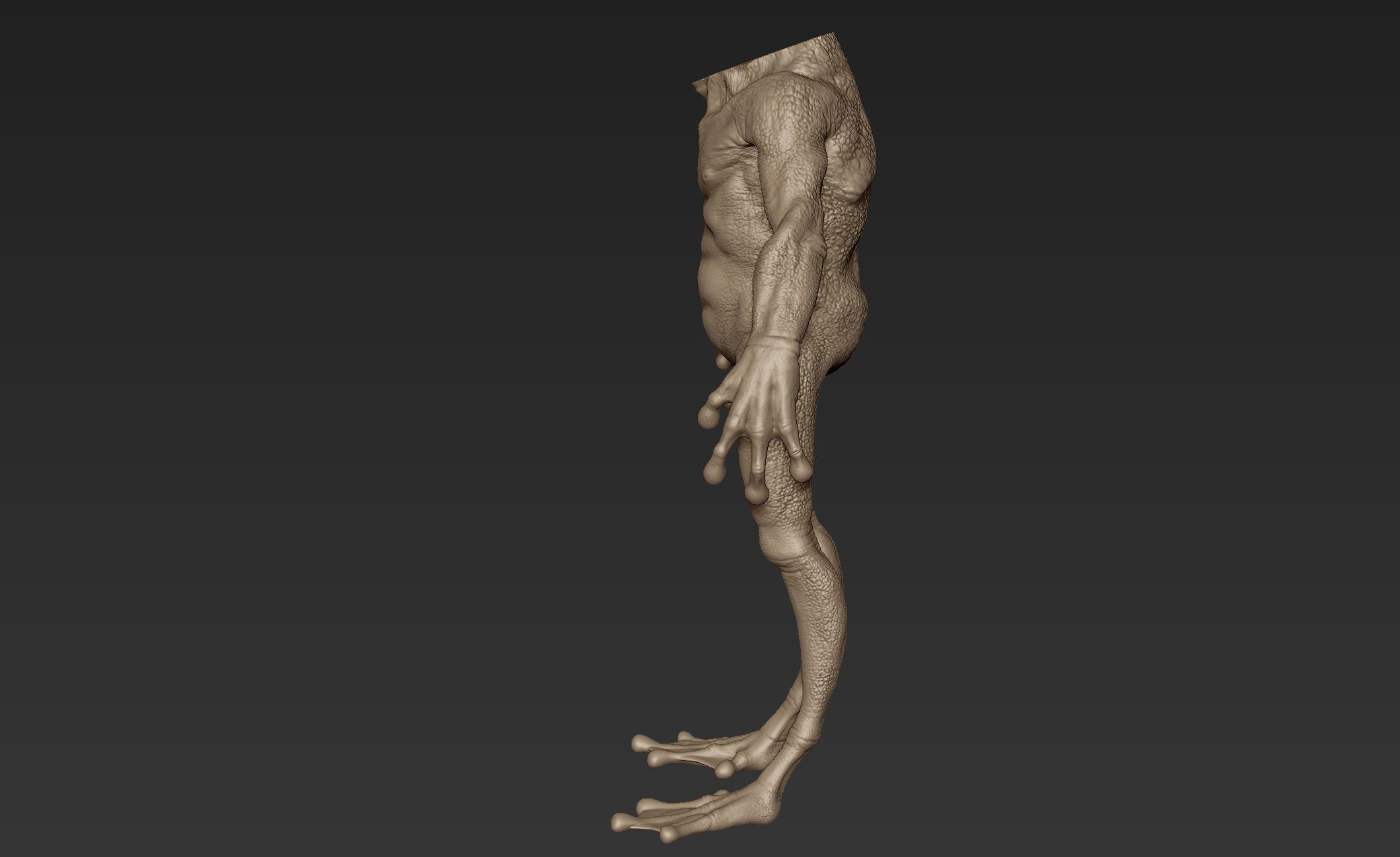Creature Body Sculpt 4 3D model | CGTrader