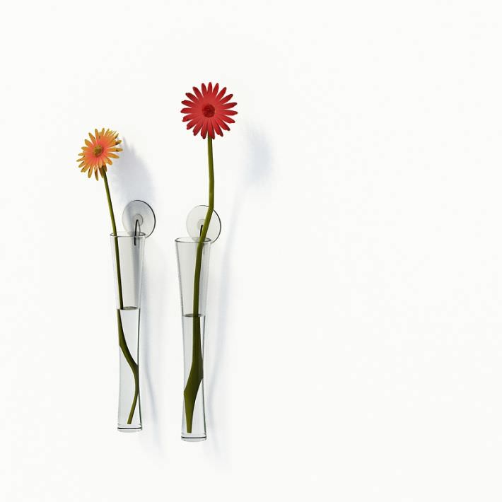 Sleek Wall Mounted Flower Vases 3d Model