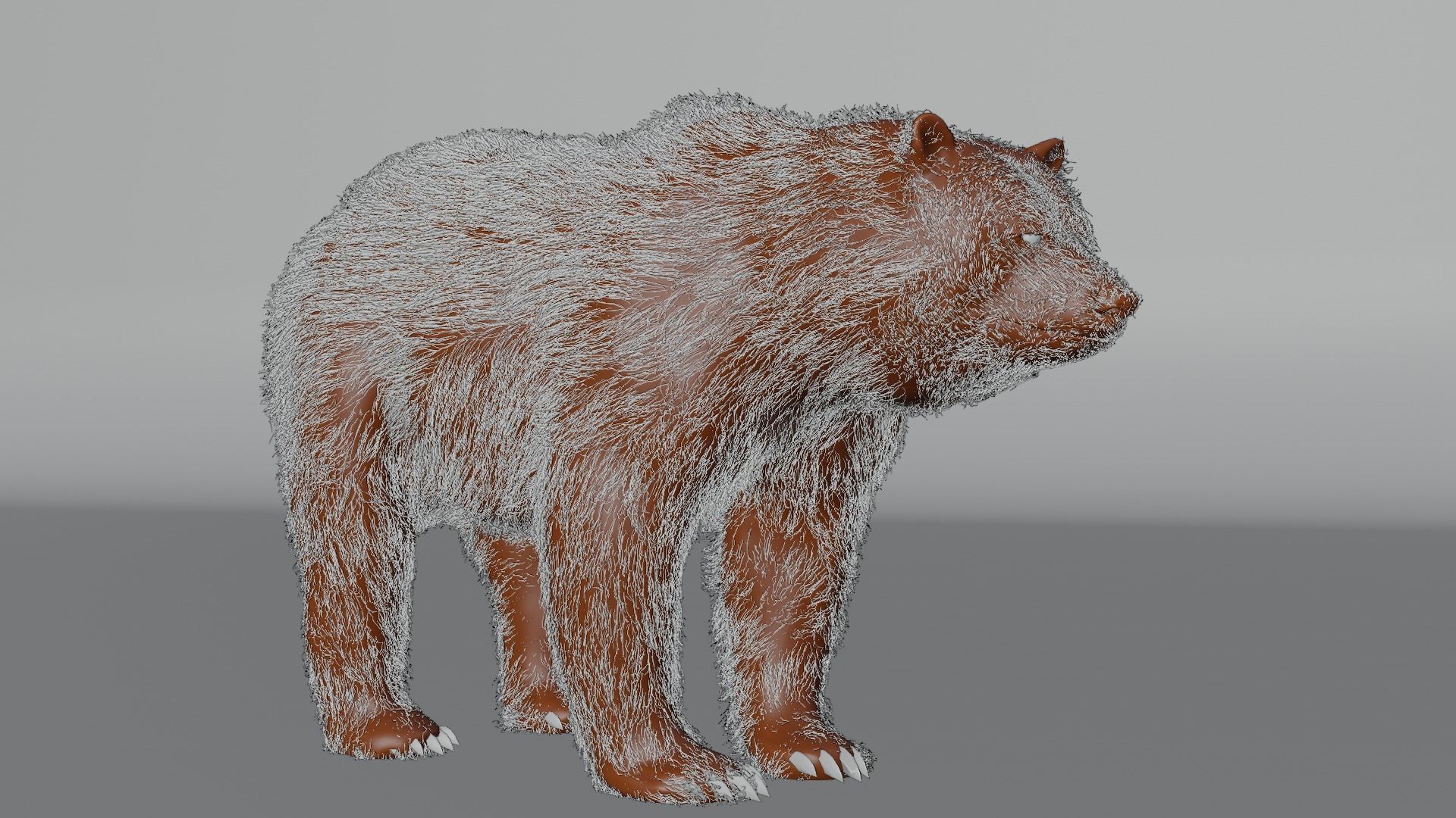 Bear Animal 3D 3D model CGTrader