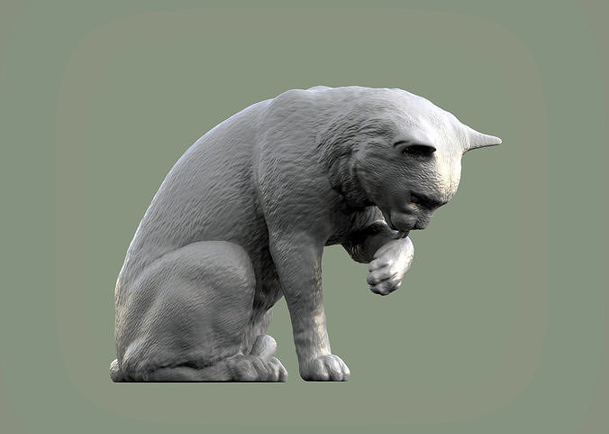cat-for-3d-printing-3d-print-model-3d-model-9349c1c51c.jpg