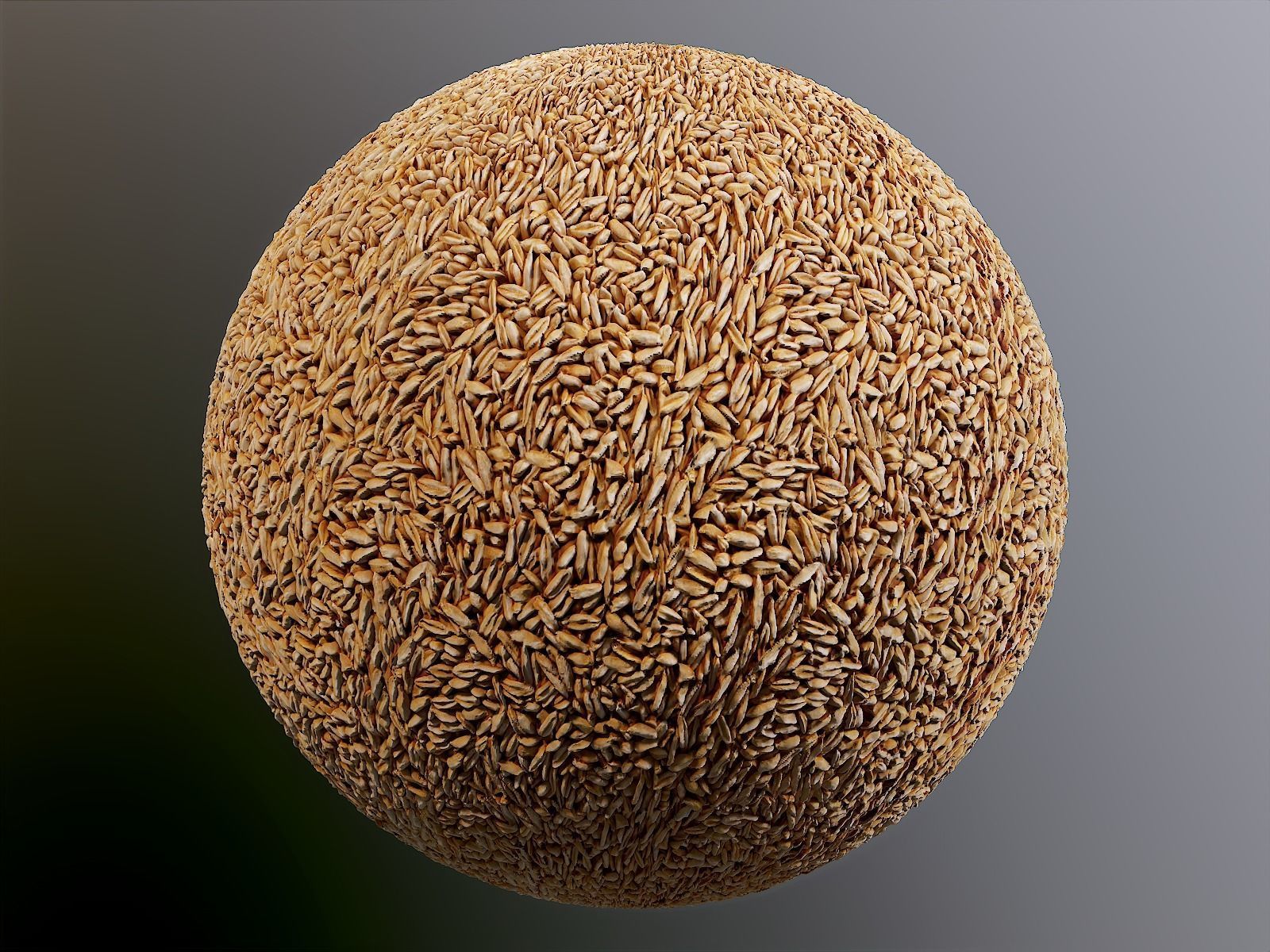 Oat Groats PBR Texture Texture | CGTrader