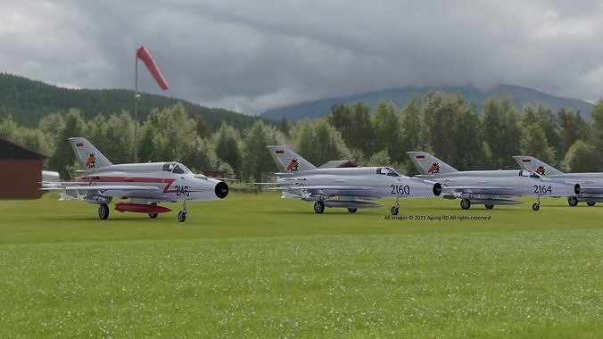 MiG-21 Indonesian Air Force Low-poly 3D model - NO Textures Low-poly 3D model