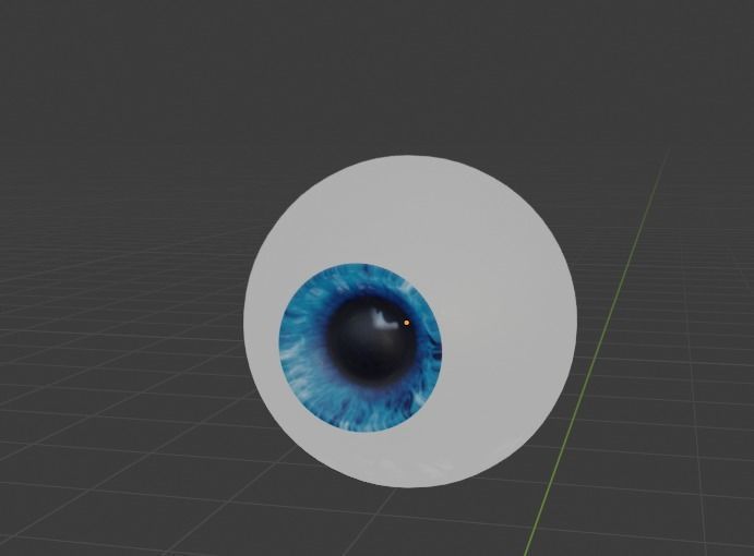 Human eyeball Blue blender only free VR / AR / lowpoly 3D model CGTrader